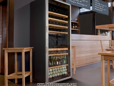 Vì sao không nên cắm điện tủ bảo quản rượu vang khi mới mua về?